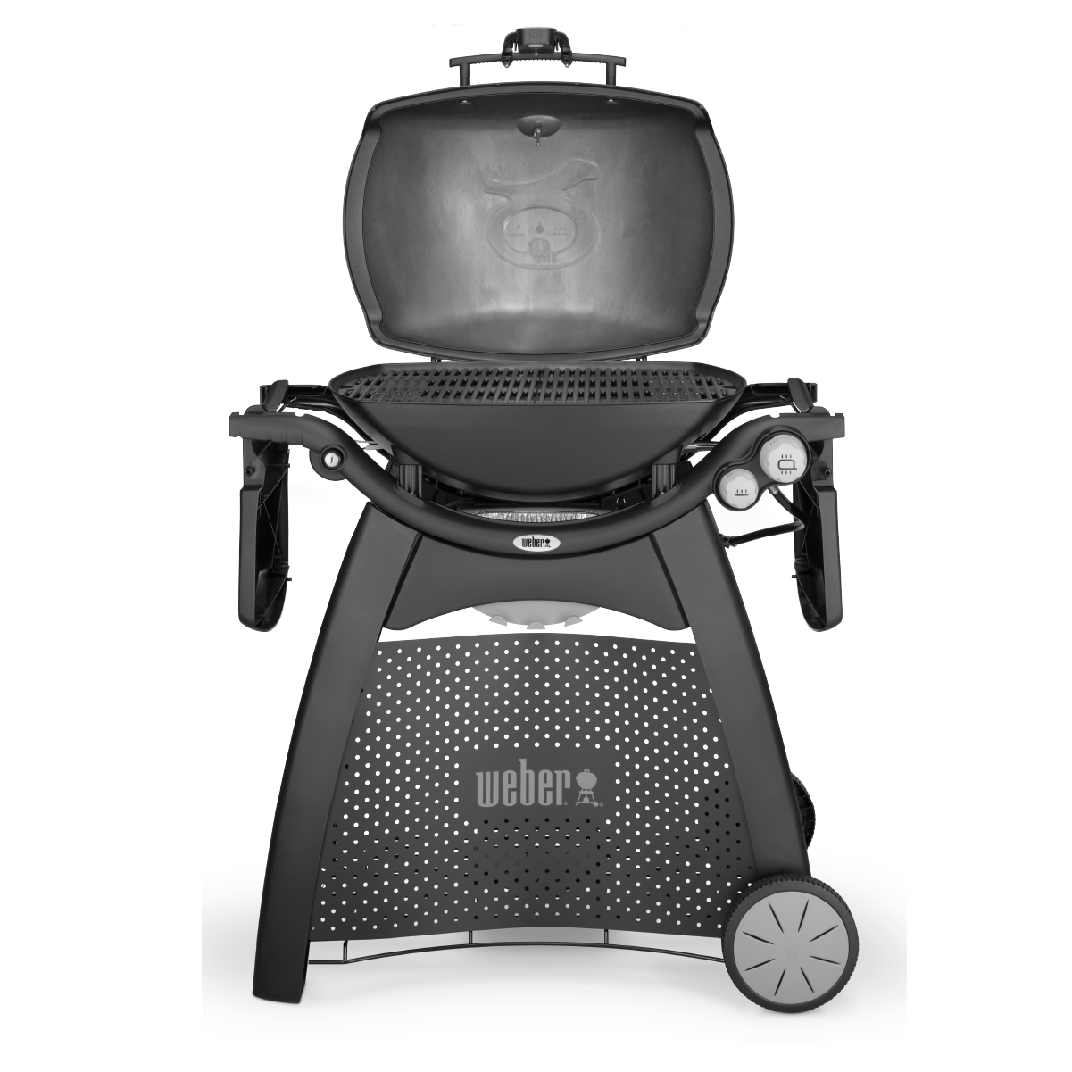 Weber Gas Grill Q3200 Station