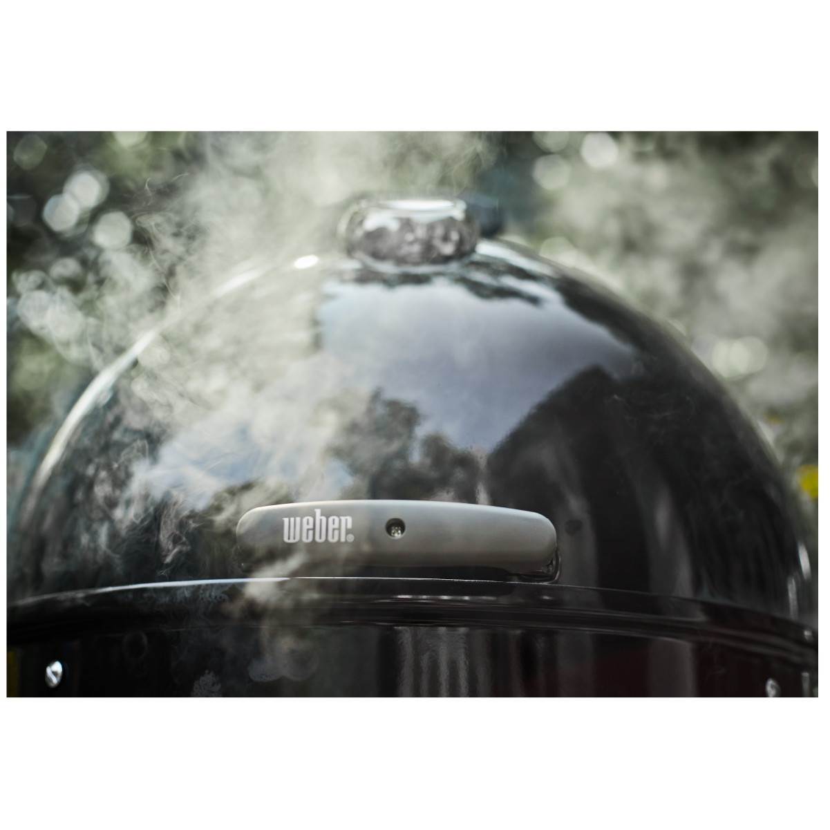 مدخنة ويبر سموكي ماونتن، 57 سم